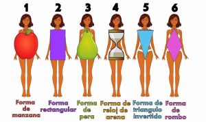 diferentes cuerpos